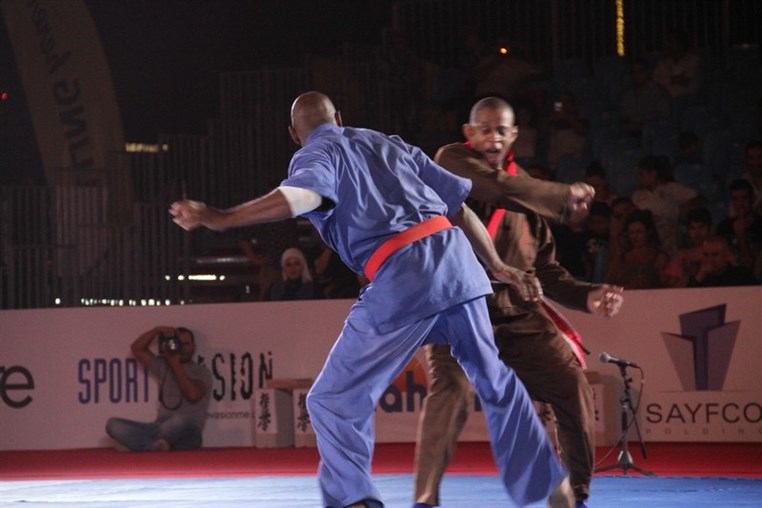 Martial Arts Festival